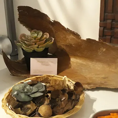 Maison d'hôtes Boutique 3*